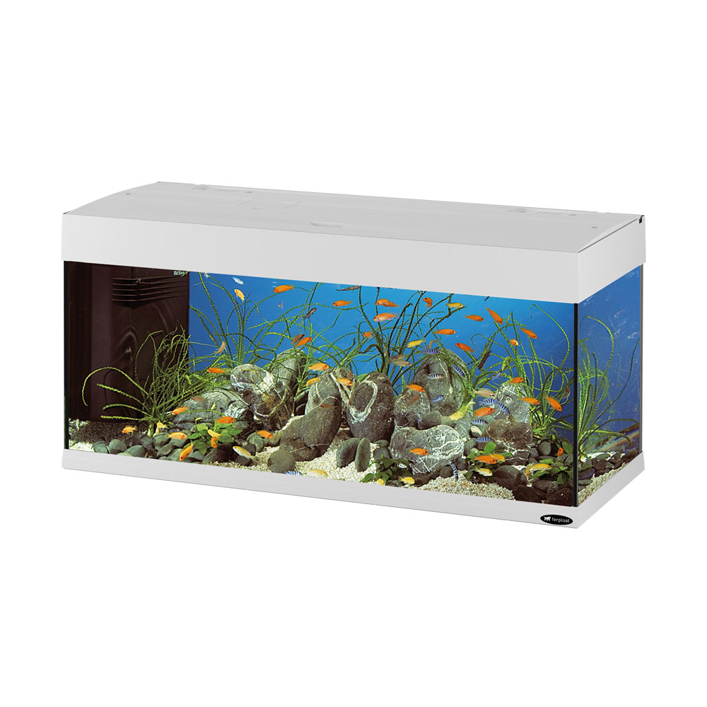 Ferplast 65018017 Acquario Capri 80, dimensioni: 80 x 31,5 x 46,5 cm, 100  litri, Nero : : Prodotti per animali domestici